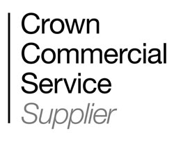 Crown Commercial Service G-Cloud 12